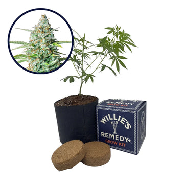 Northern Lights Strain Grow Kit
