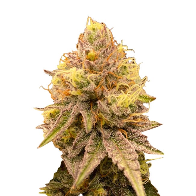 Pineapple Express