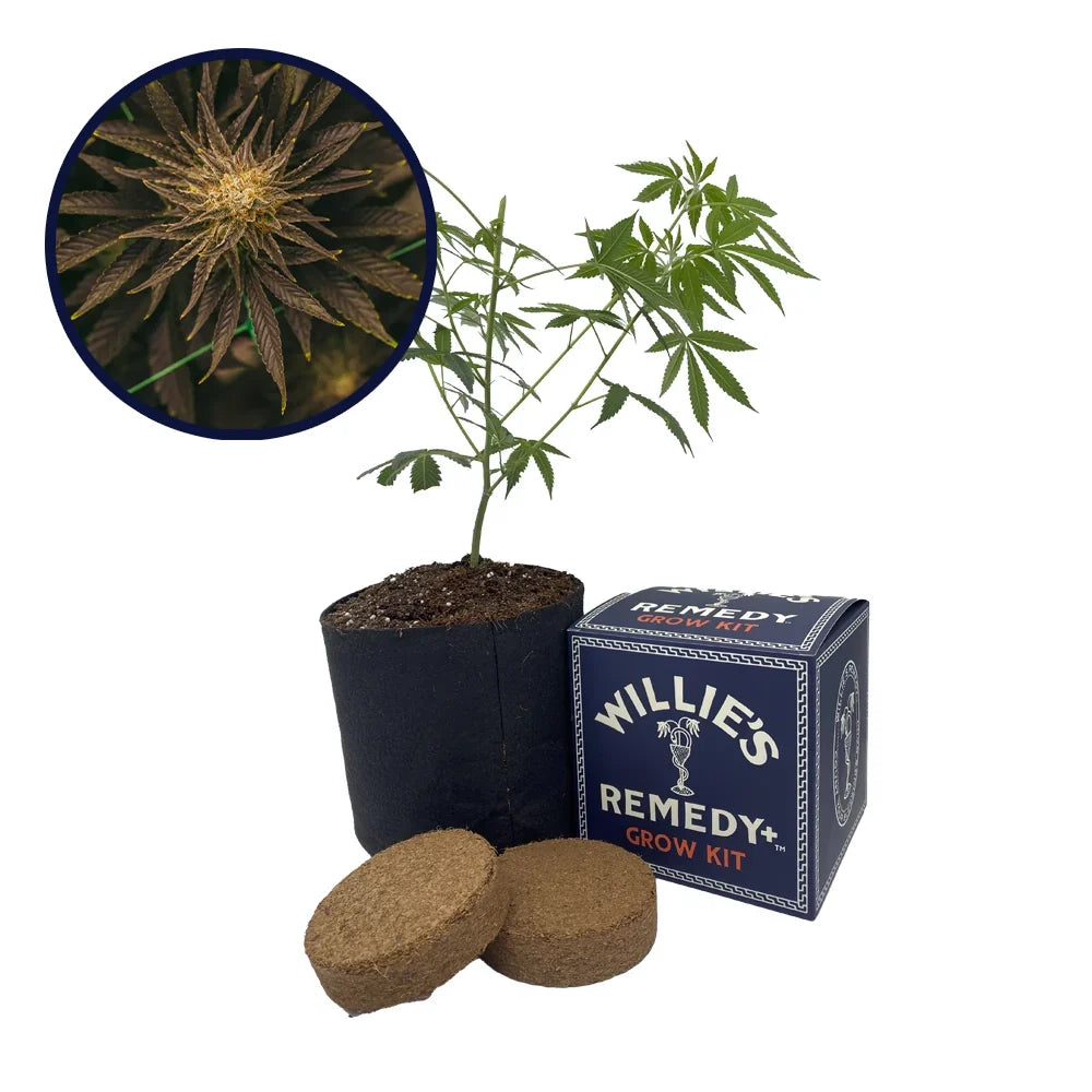 Platinum OG Strain Grow Kit
