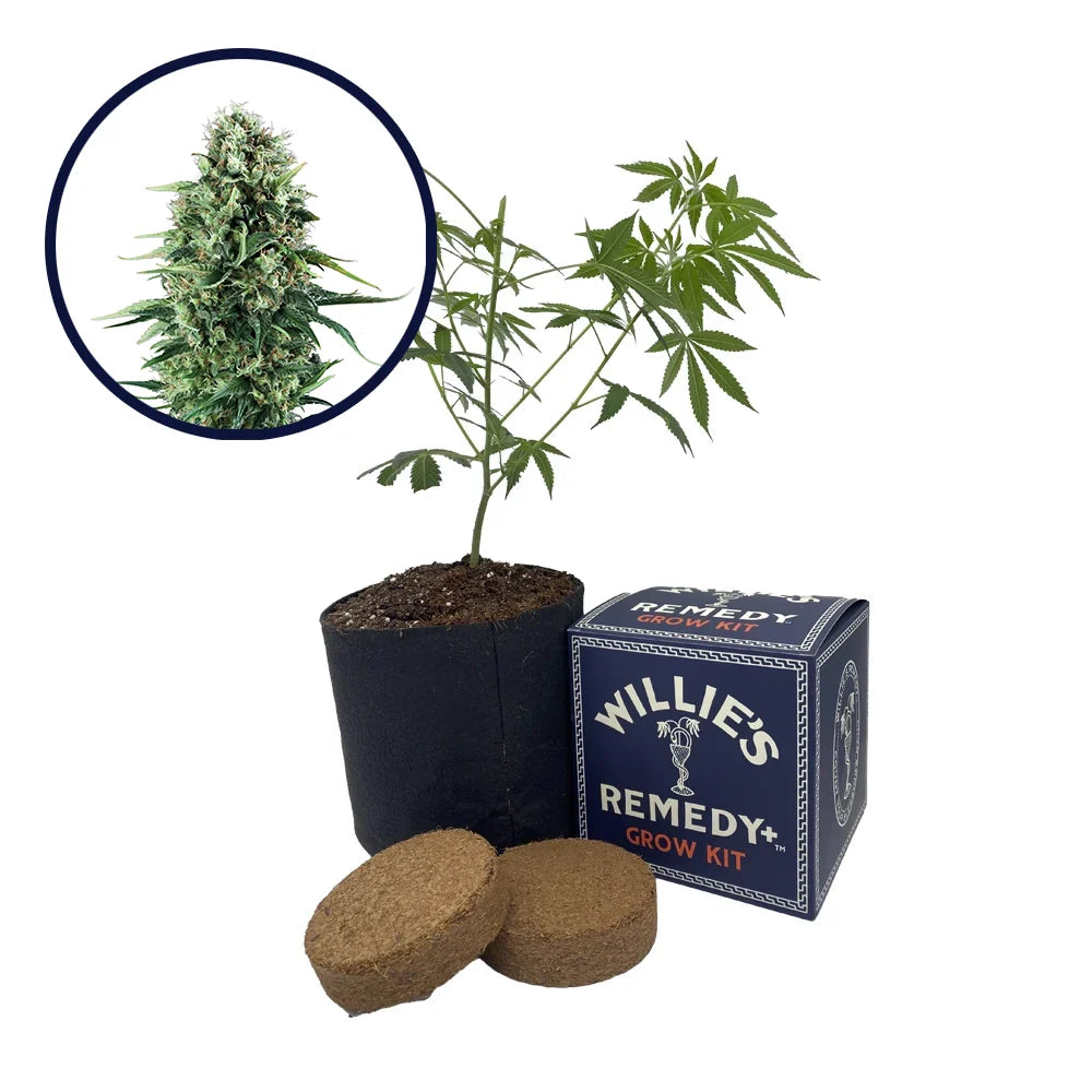 Power Plant Strain Grow Kit