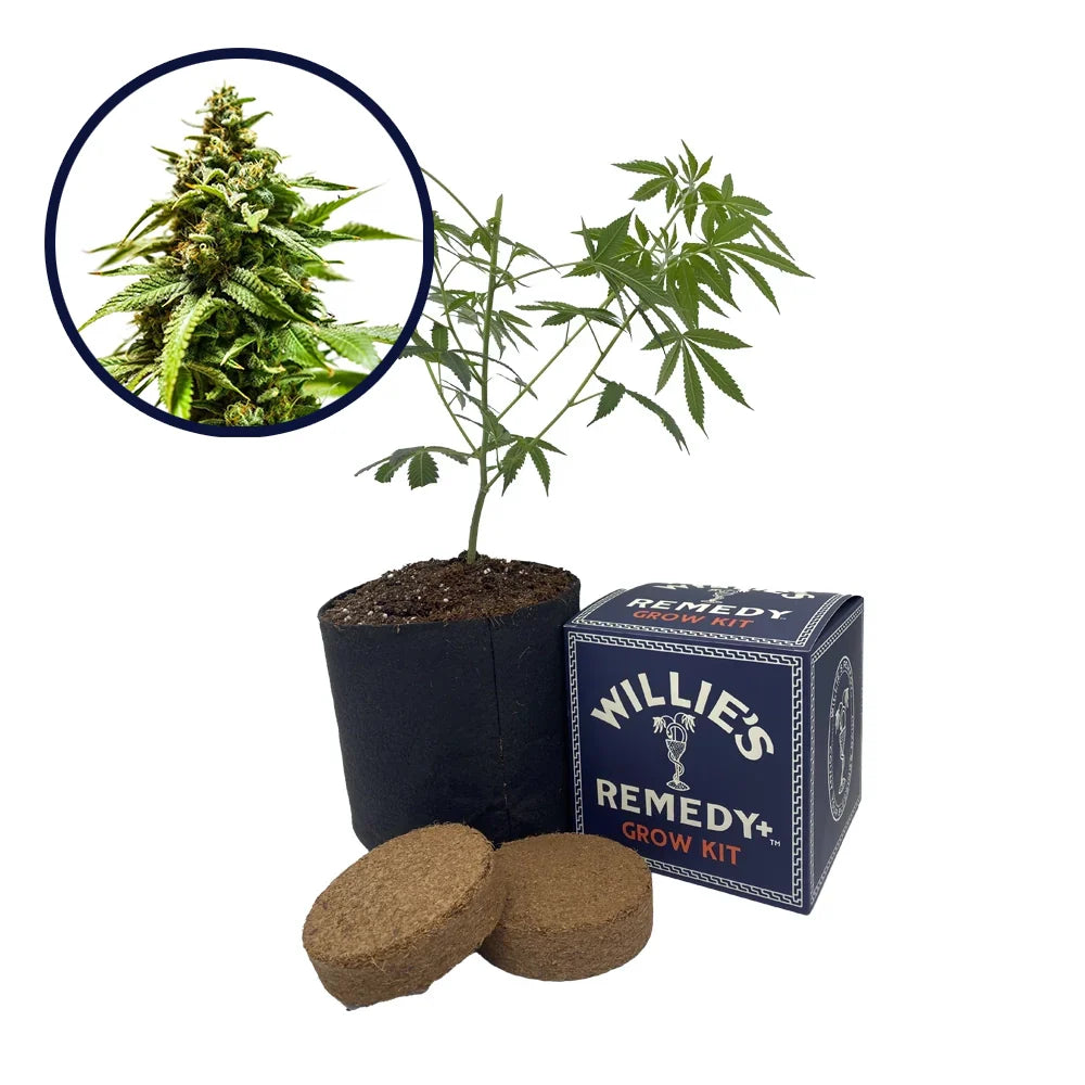 Power Punch Strain Grow Kit