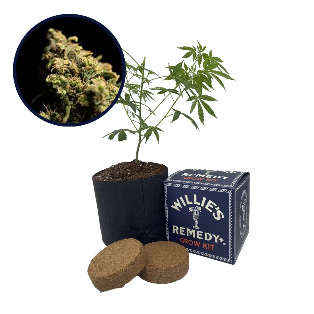 Pura Vida Strain Grow Kit