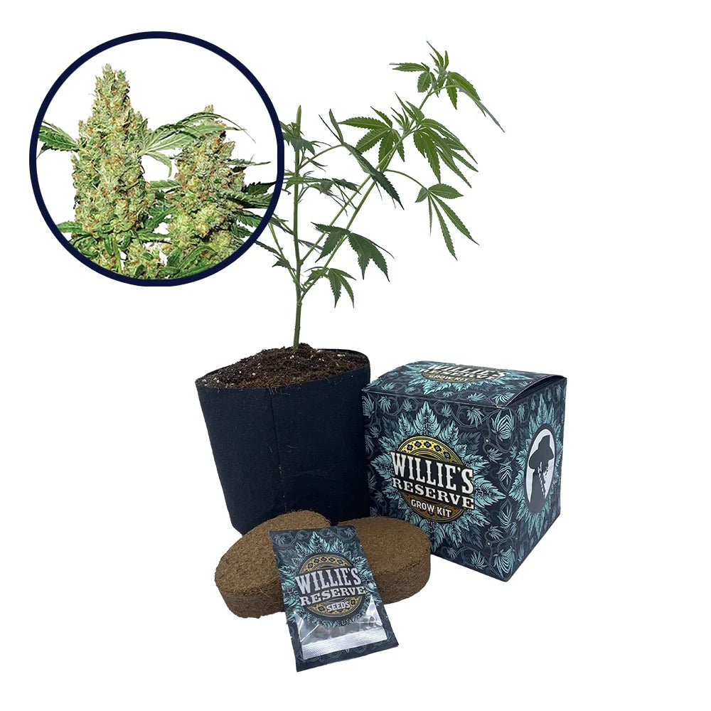 Pure Power OG Strain High Yield Grow Kit