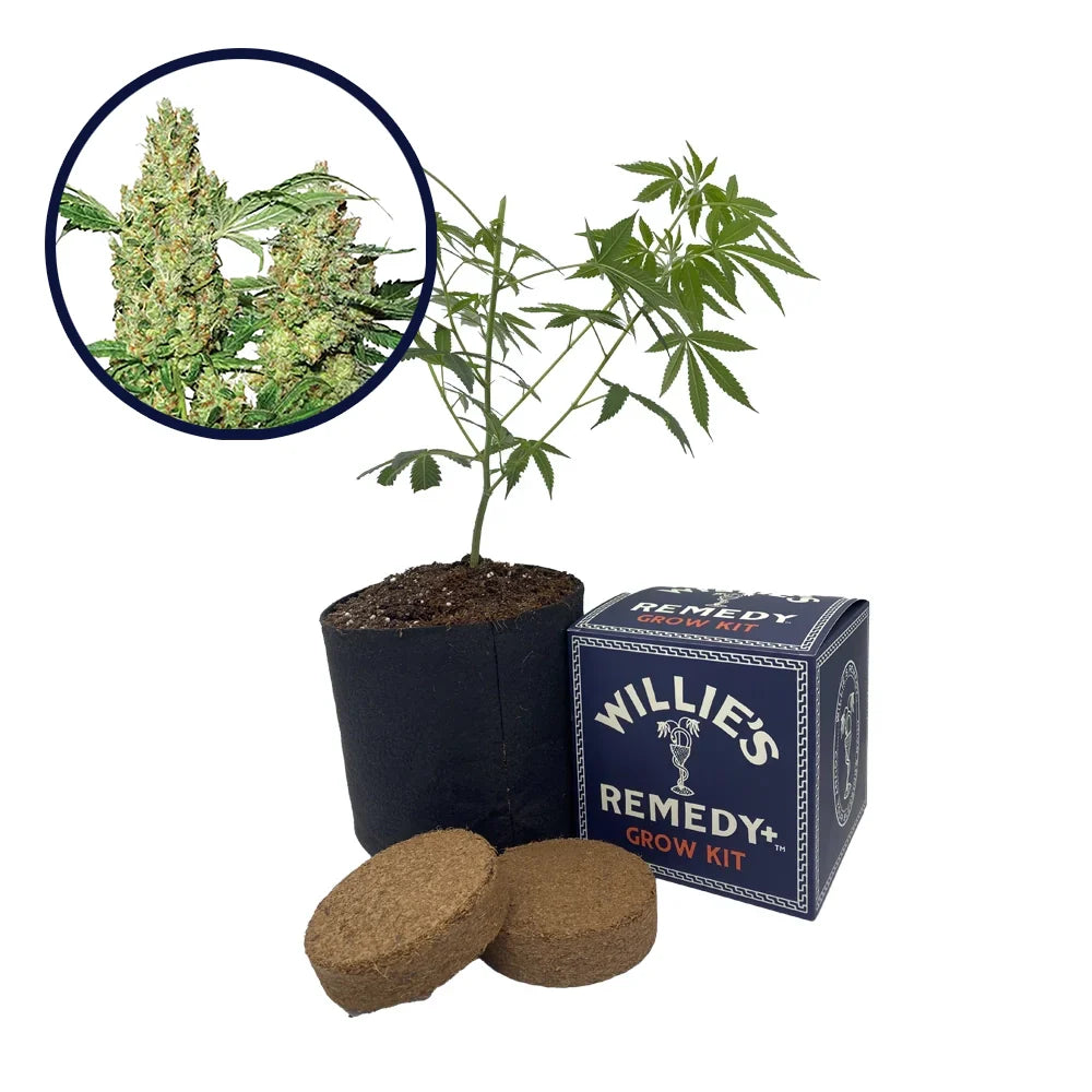 Pure Power OG Strain Grow Kit