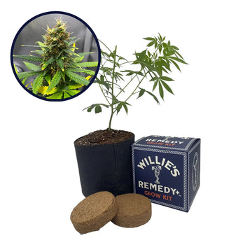 SFV OG Strain Grow Kit
