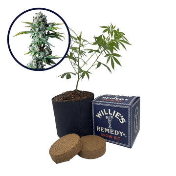 Skywalker OG Strain Grow Kit