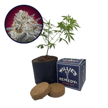 Slurricane Strain Grow Kit