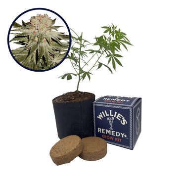 Stardawg Strain Grow Kit