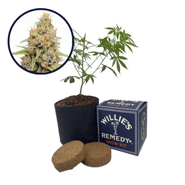 Strawberry Kush Strain Grow Kit