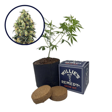 Super Skunk Strain Grow Kit