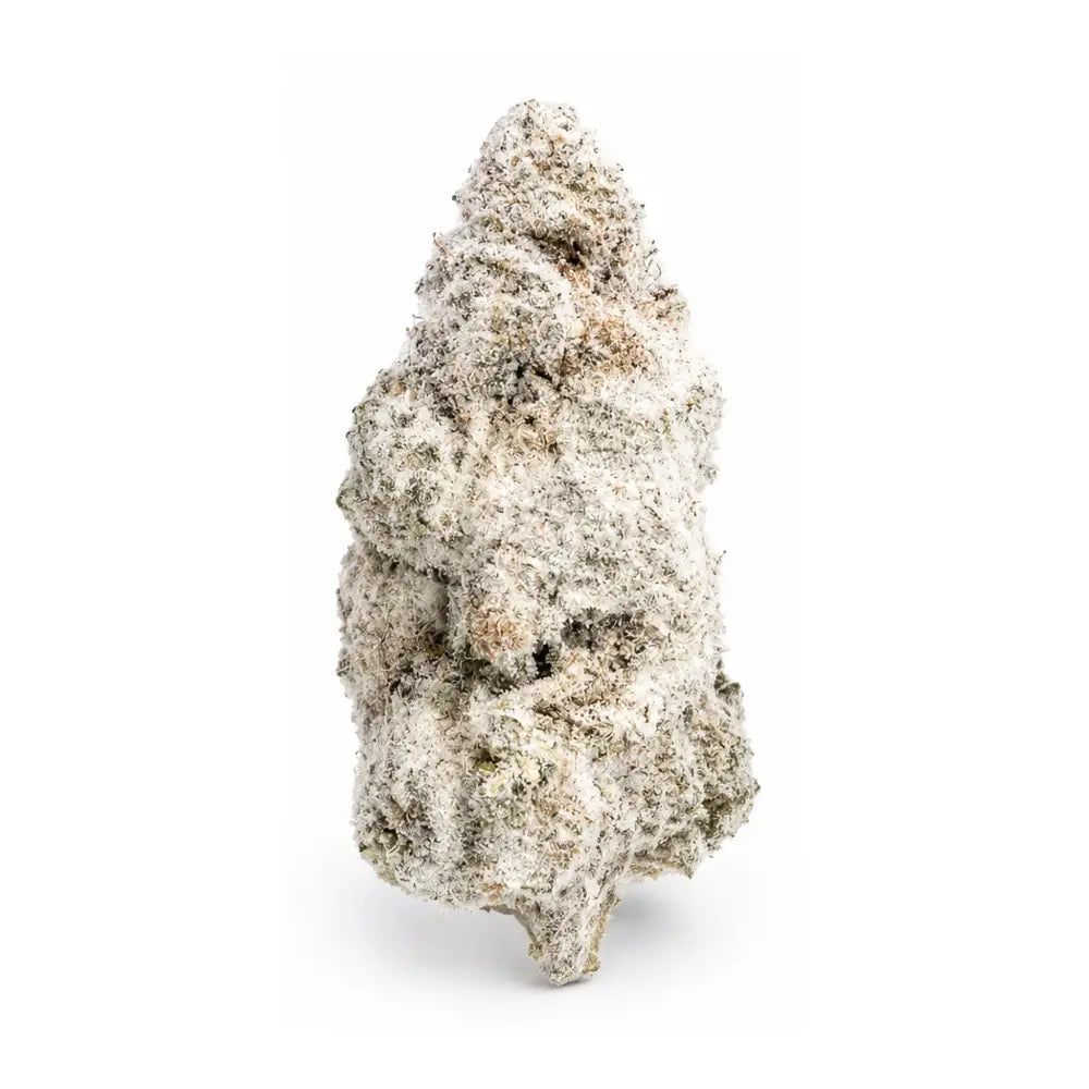 THCa Snowballs Headliner