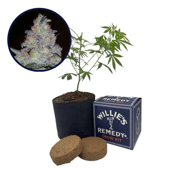 Supernova Strain Grow Kit