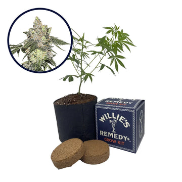Thin Mint Cookies Strain Grow Kit