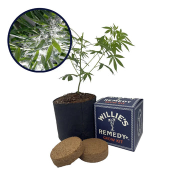 Trainwreck Strain Grow Kit