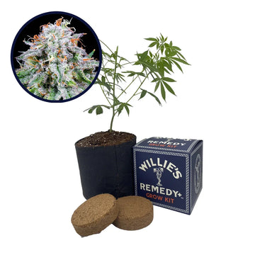 Watermelon Mimosa Strain Grow Kit
