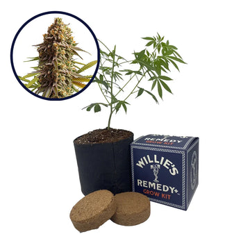 Wedding Cake Strain Grow Kit