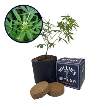 White Fire OG Strain Grow Kit