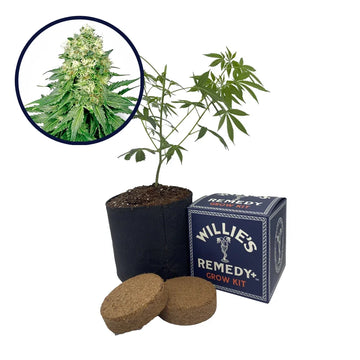 White Rhino Strain Grow Kit