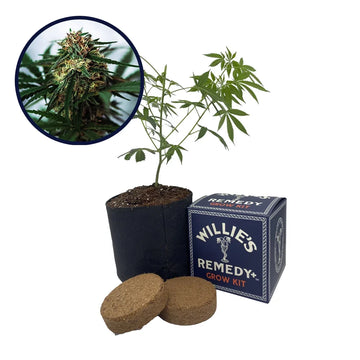 White Truffle Strain Grow Kit
