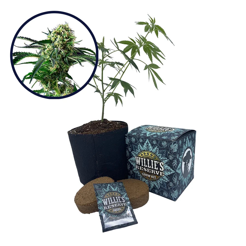 Wrecking Ball Strain High Yield Grow Kit