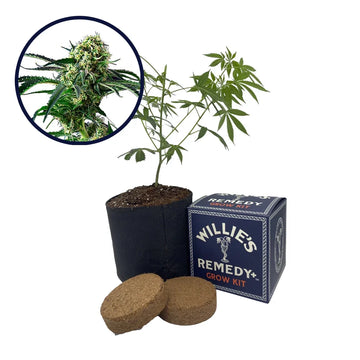 Wrecking Ball Strain Grow Kit