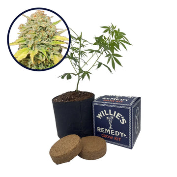 Zkittlez Strain Grow Kit