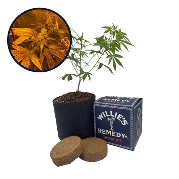 Zookies Strain Grow Kit