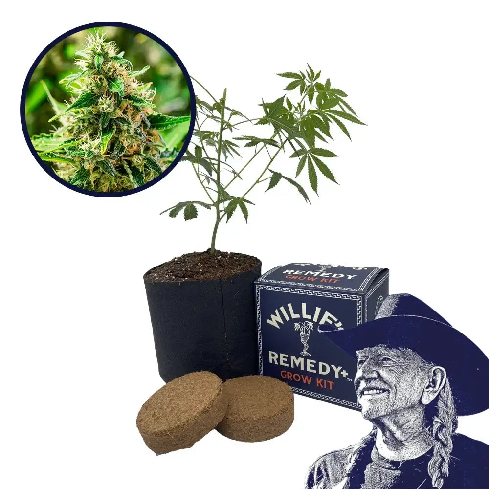 Afghani Strain Grow Kit