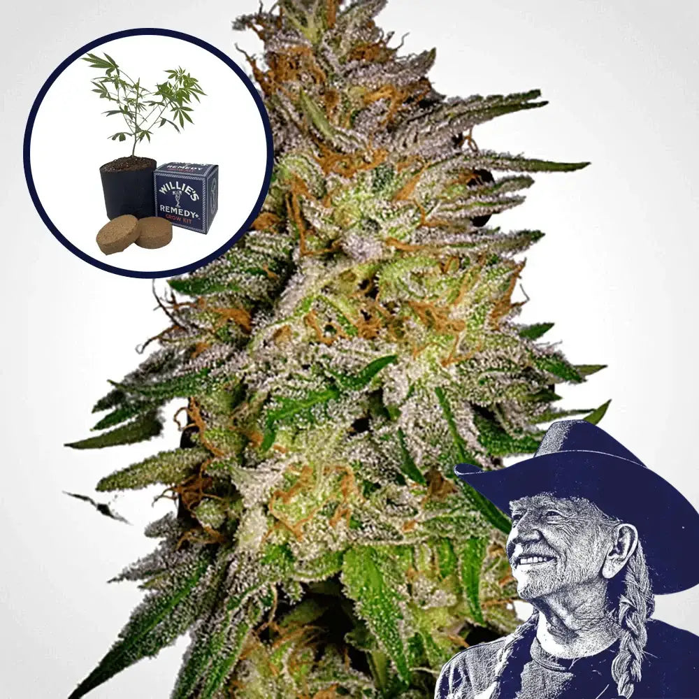 Agent Orange Grow Kit