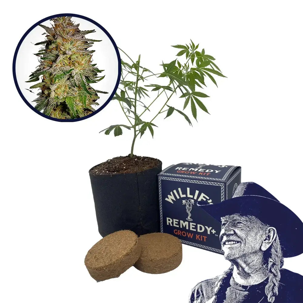 Agent Orange Strain Grow Kit