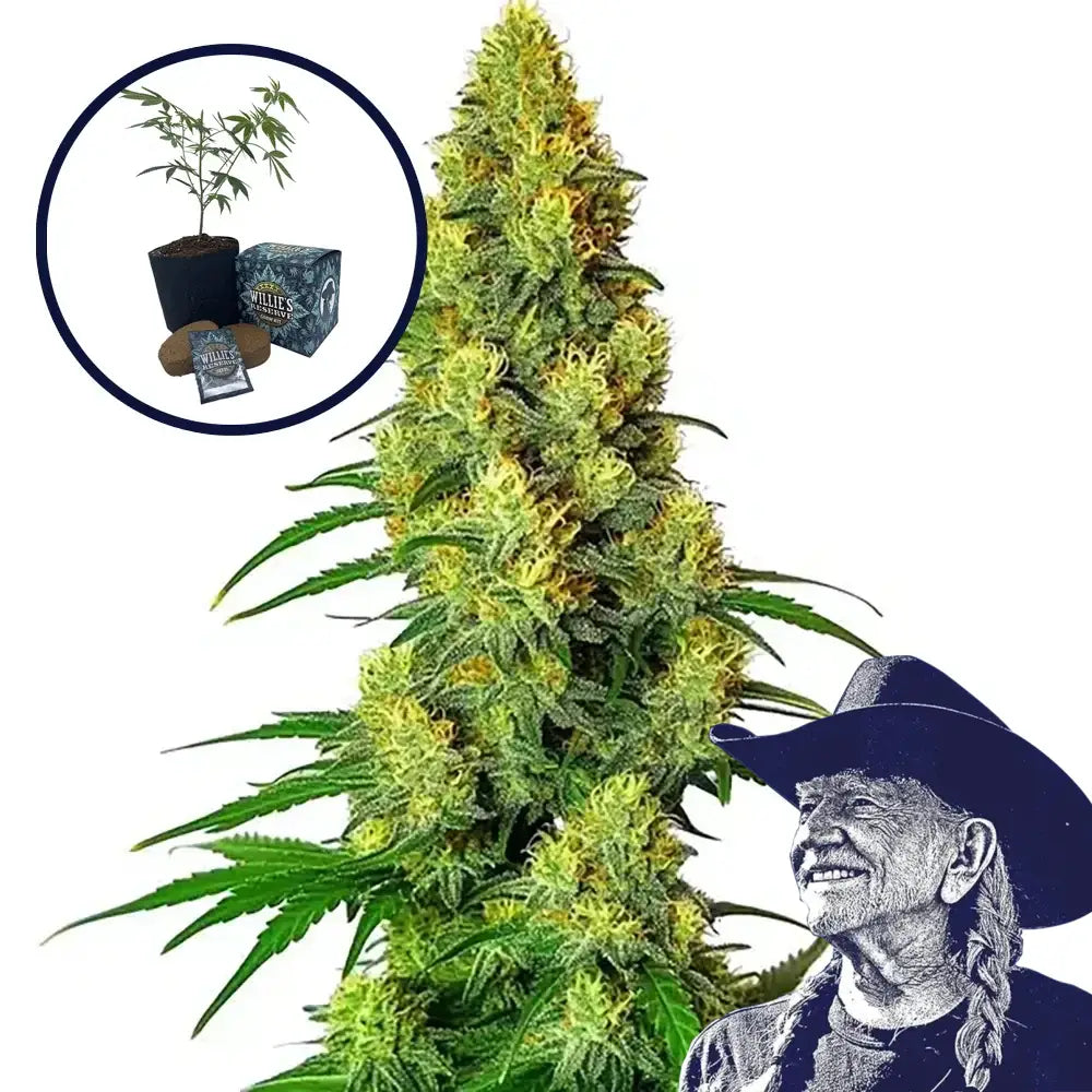 AK-48 High Yield Grow Kit