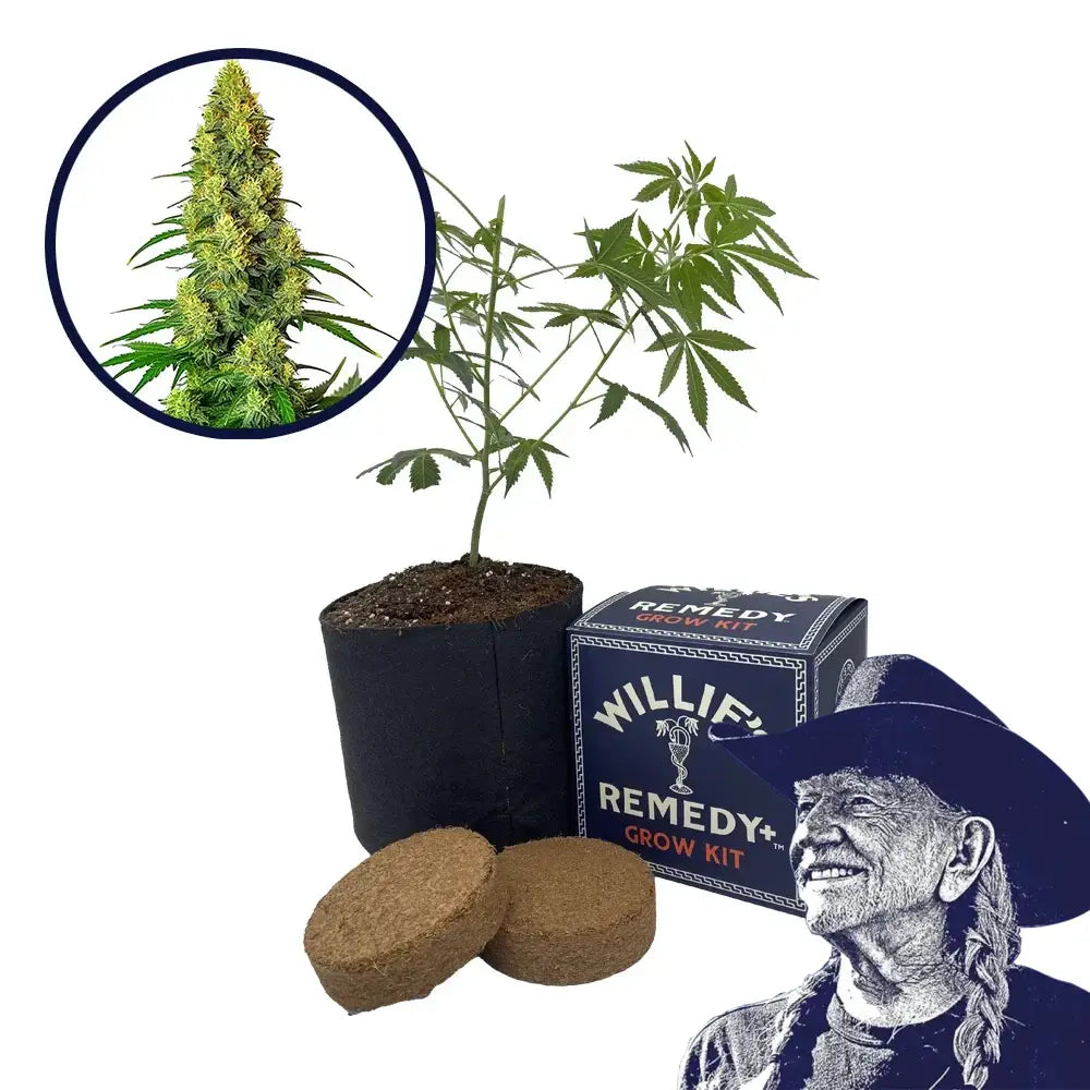 AK-48 Strain Grow Kit