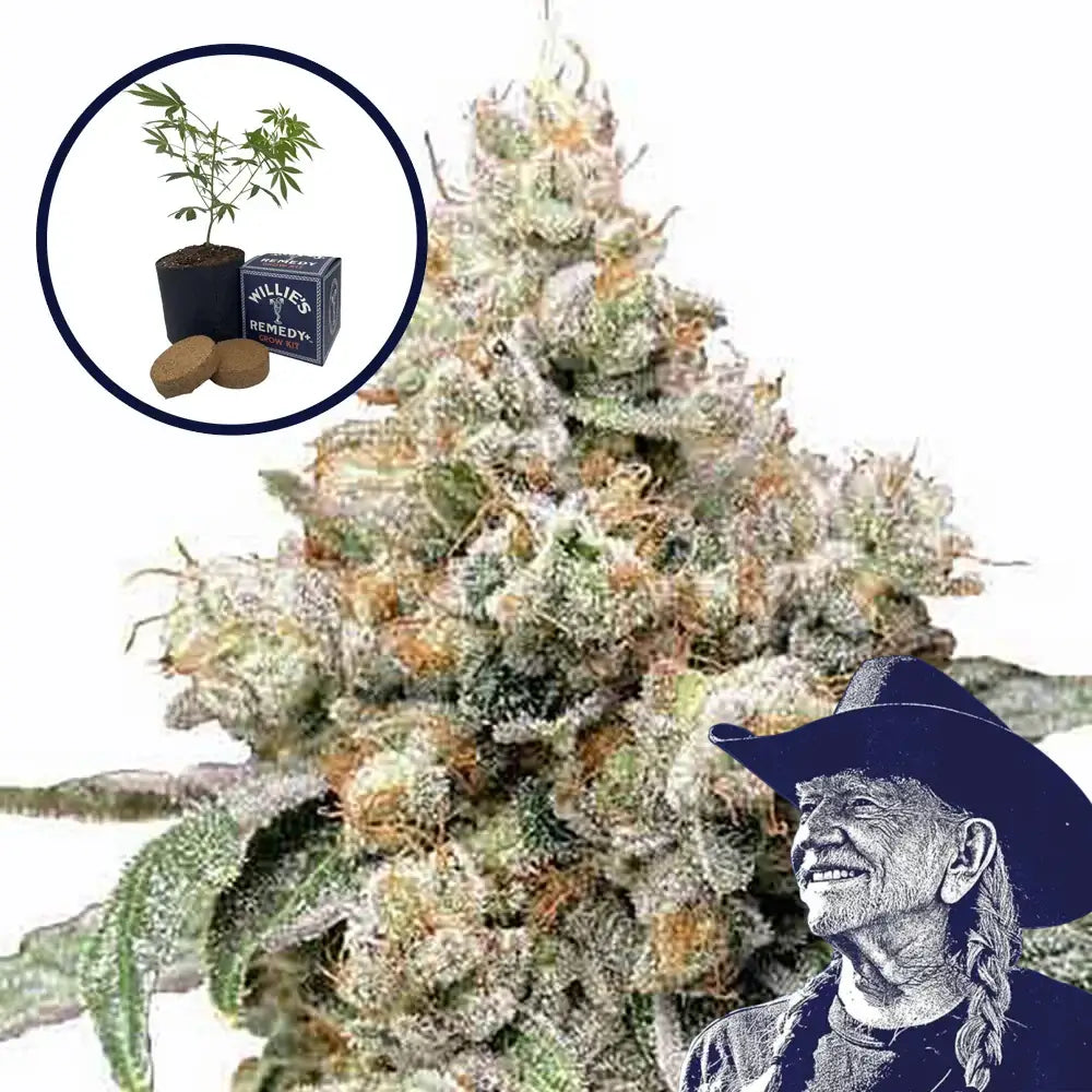 Alien OG Grow Kit