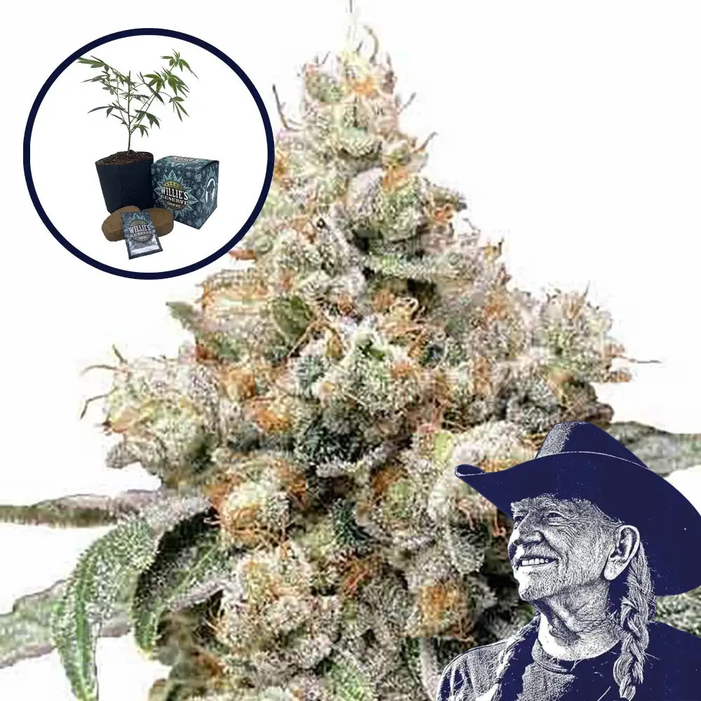 Alien OG High Yield Grow Kit