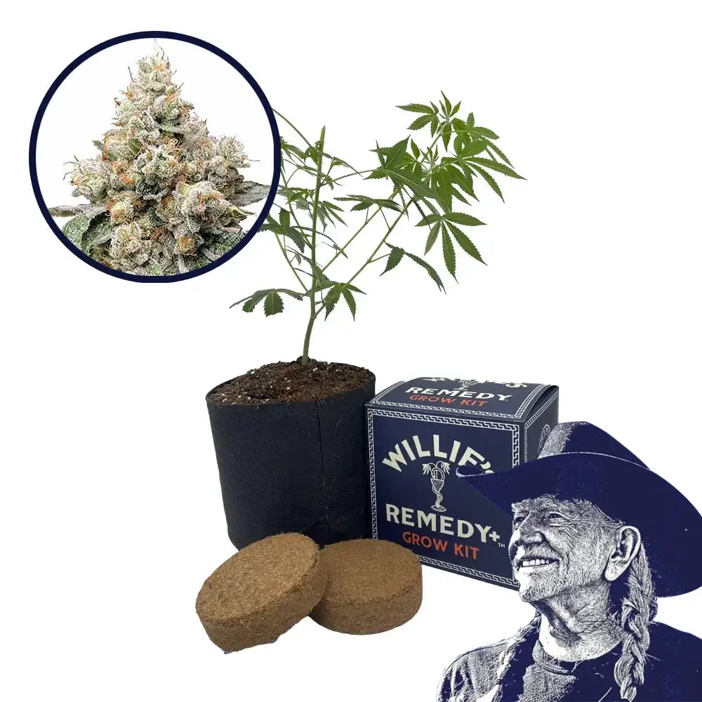 Alien OG Strain Grow Kit
