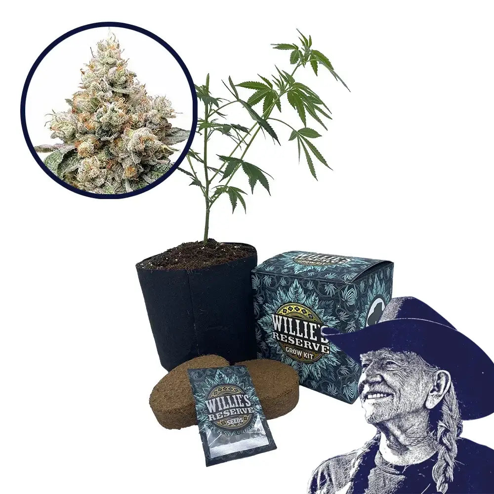 Alien OG Strain High Yield Grow Kit