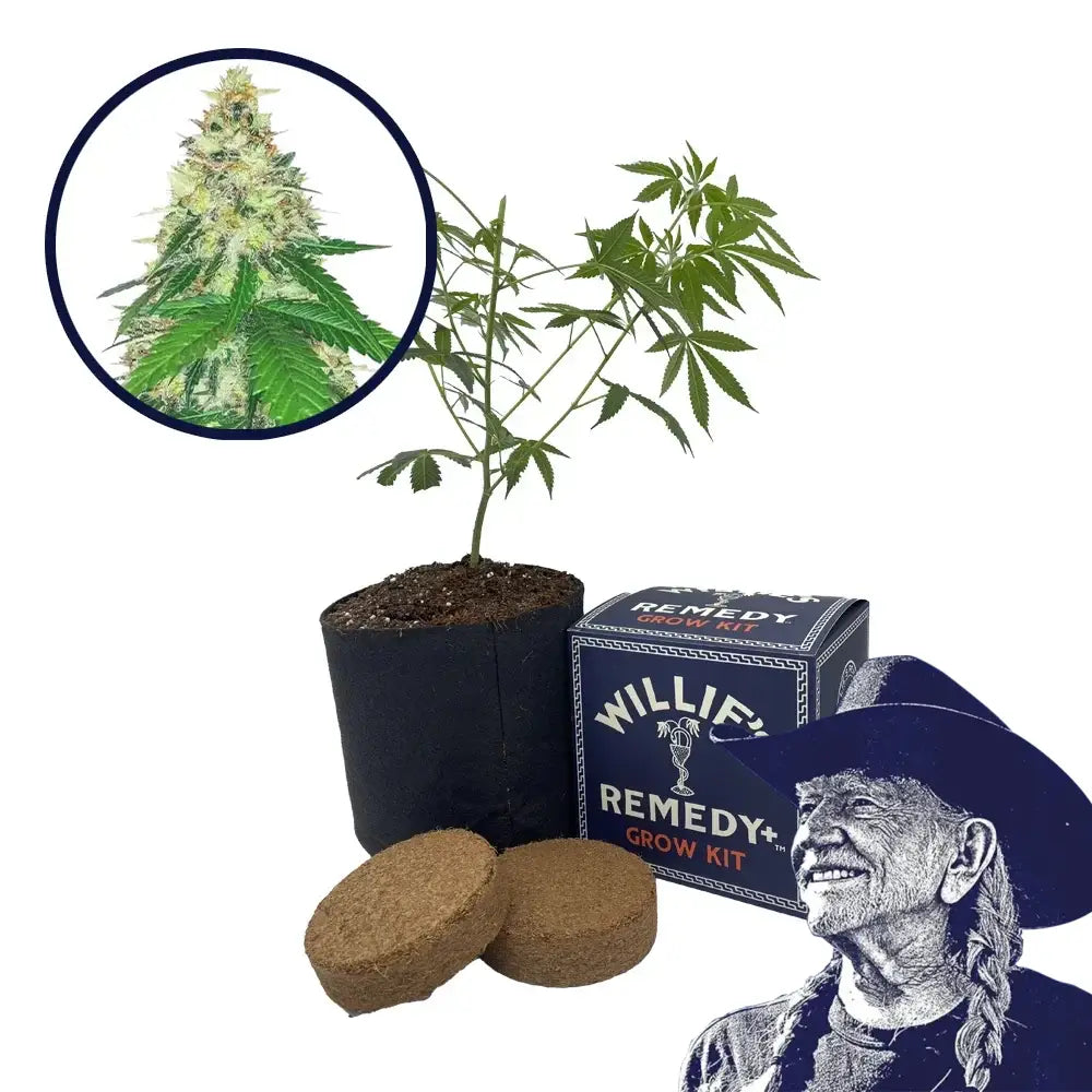Apple Betty Strain Grow Kit