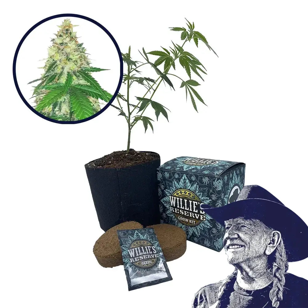 Apple Betty Strain High Yield Grow Kit