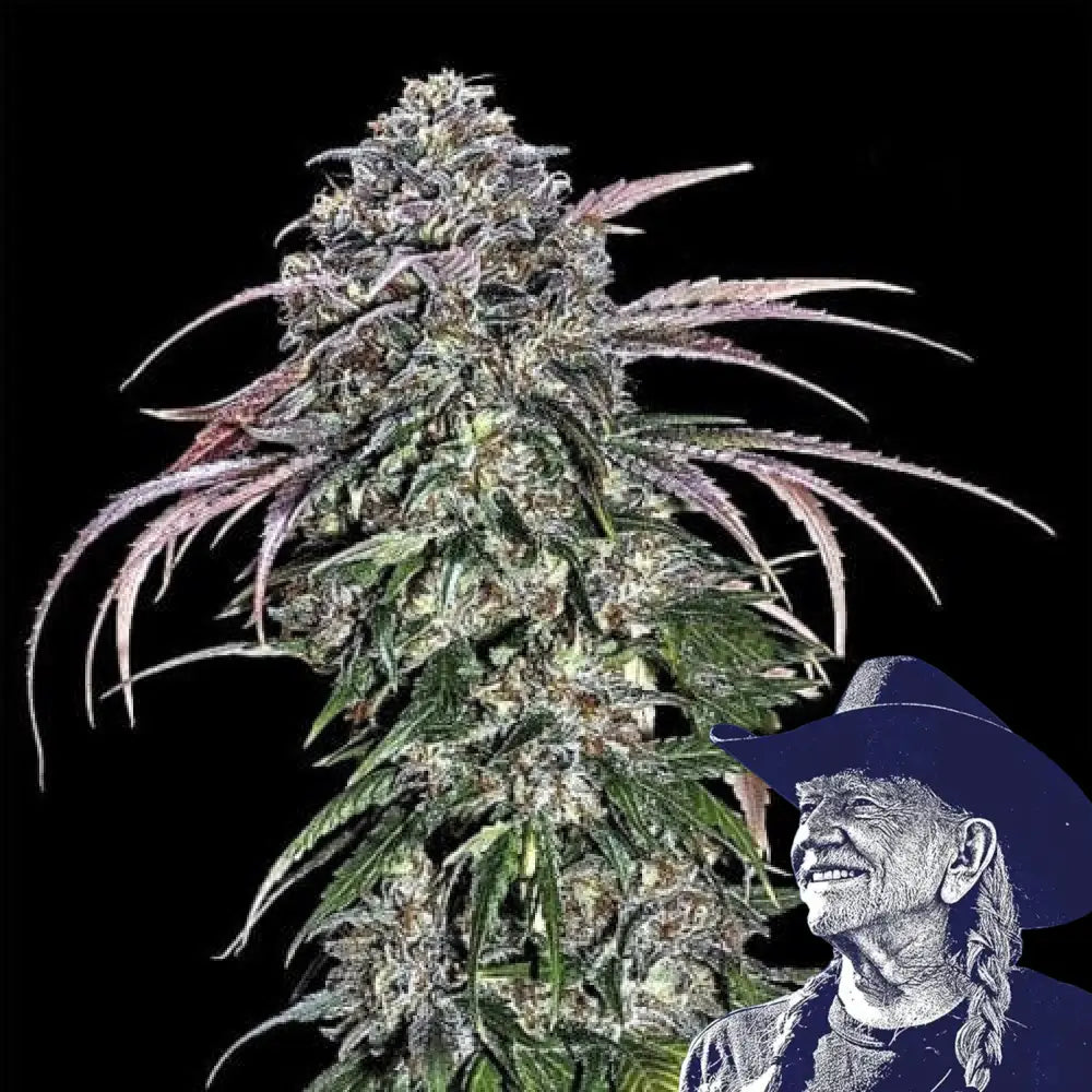 ATF (Alaskan Thunder Fuck)