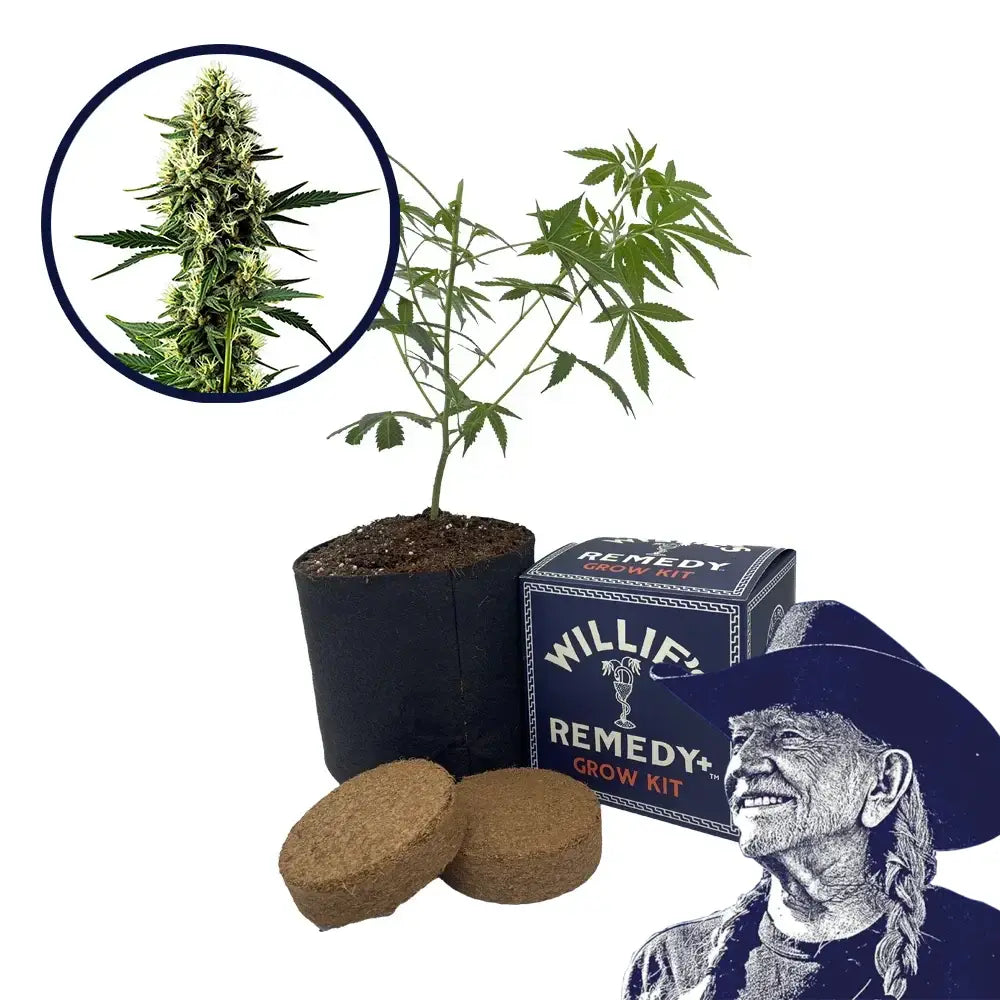 Aurora Indica Strain Grow Kit