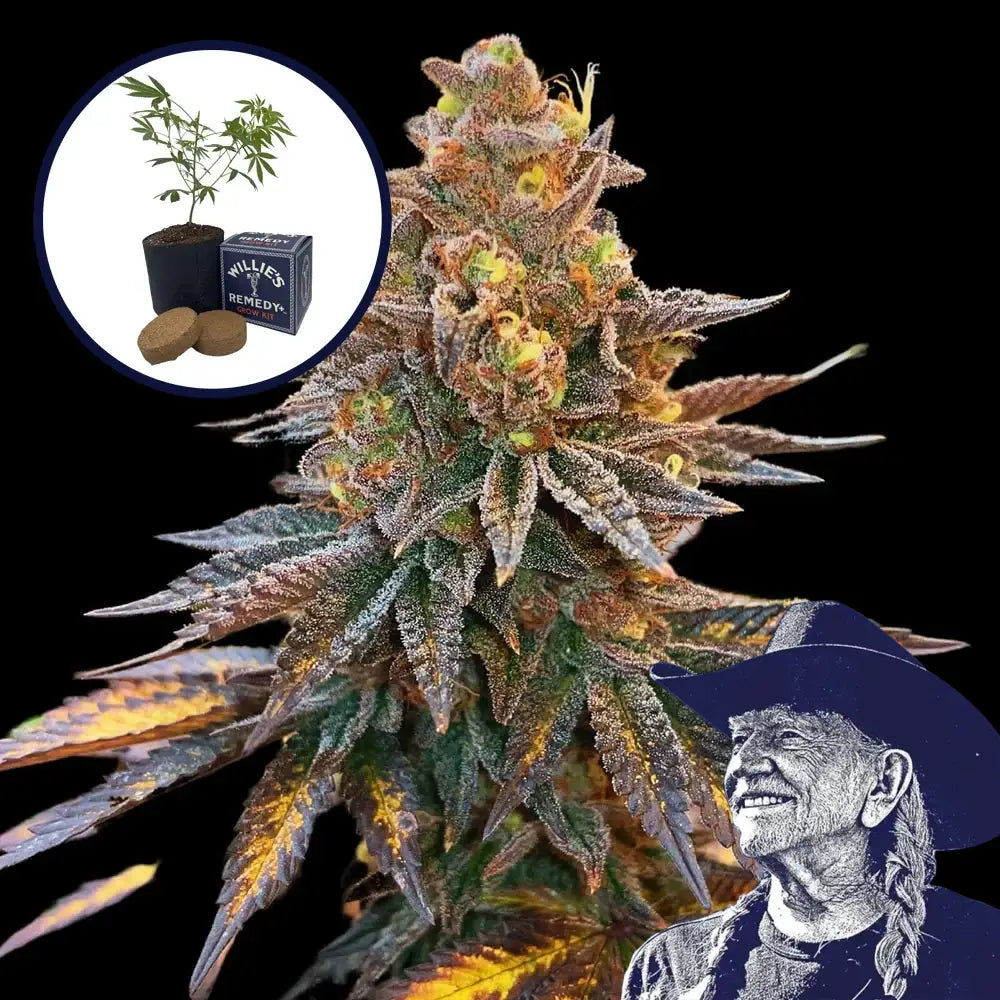 Banana Hammock Grow Kit