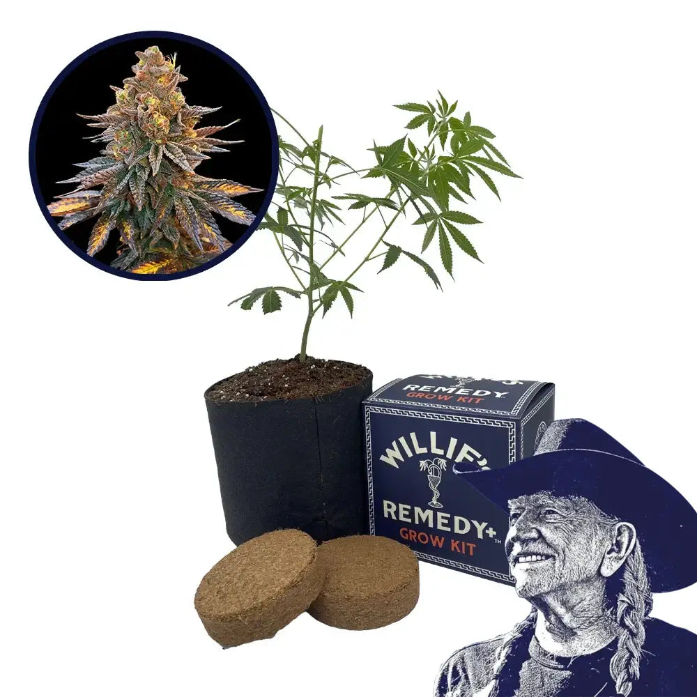 Banana Hammock Strain Grow Kit