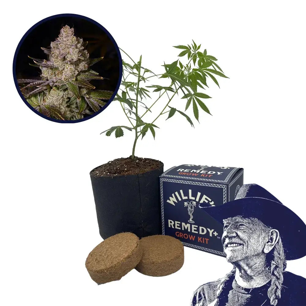 Berry Pie Strain Grow Kit