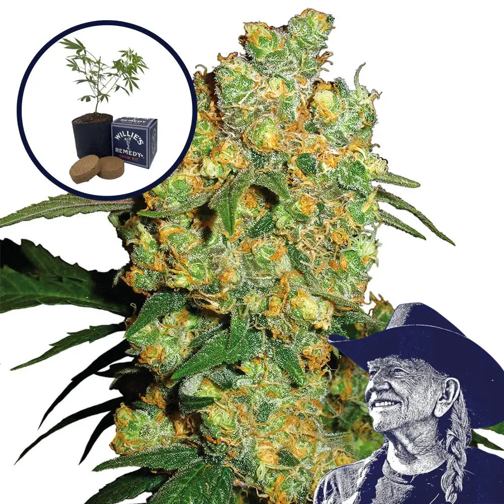Big Bud Grow Kit