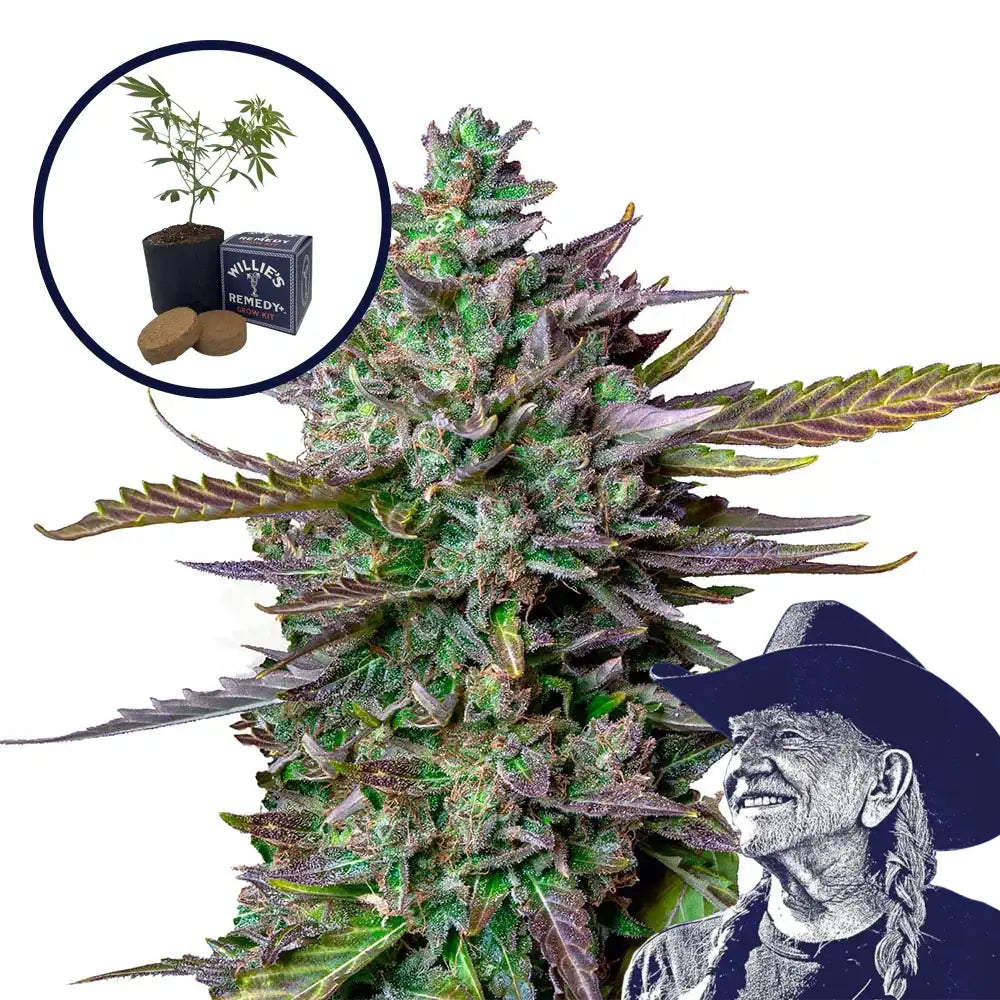 Blue Cheese Grow Kit