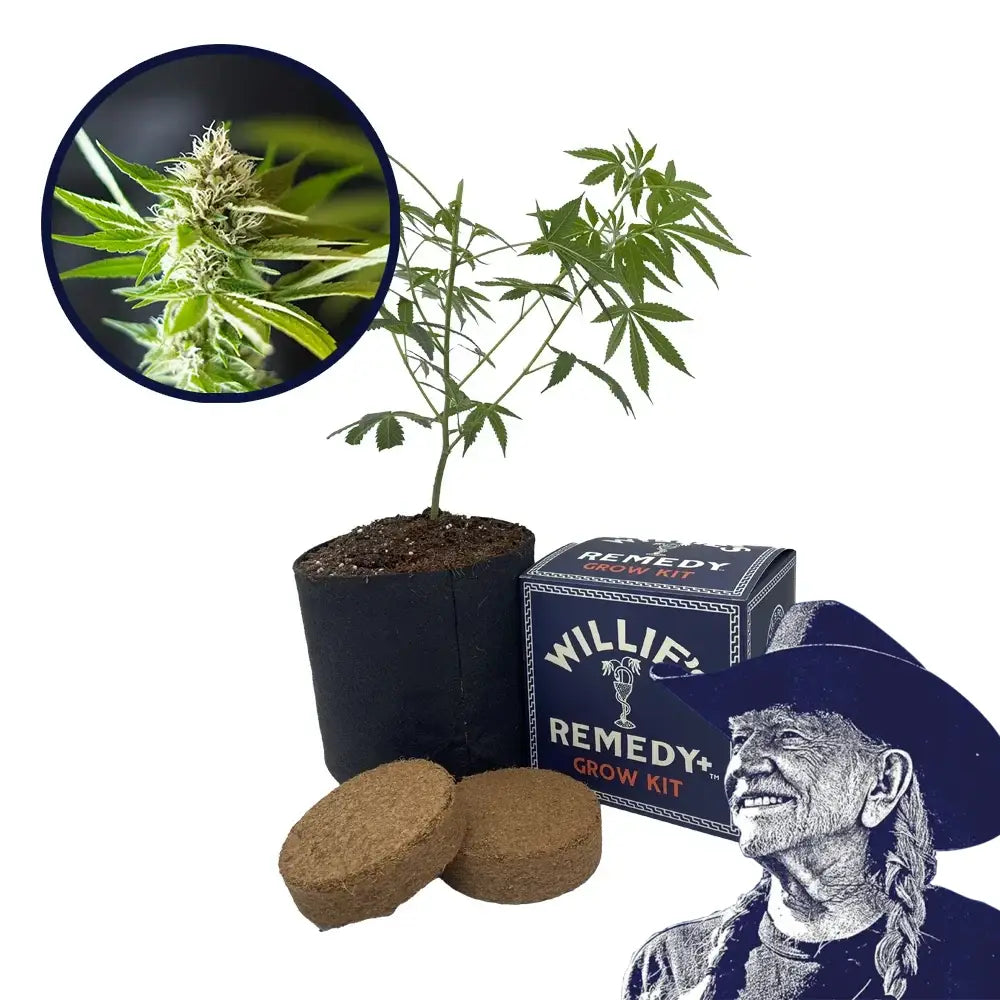 Blue Dream x Northern Lights Platinum Line Strain Grow Kit