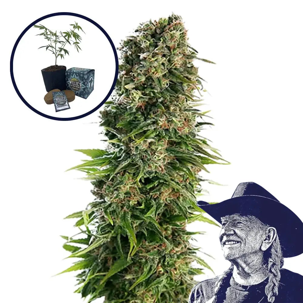 Blue Zkittlez High Yield Grow Kit