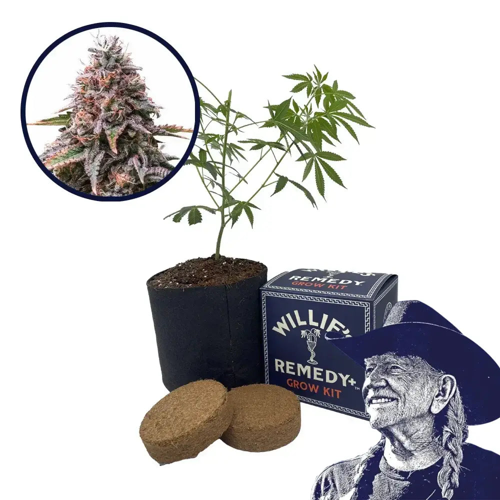 Cherry Pie Strain Grow Kit