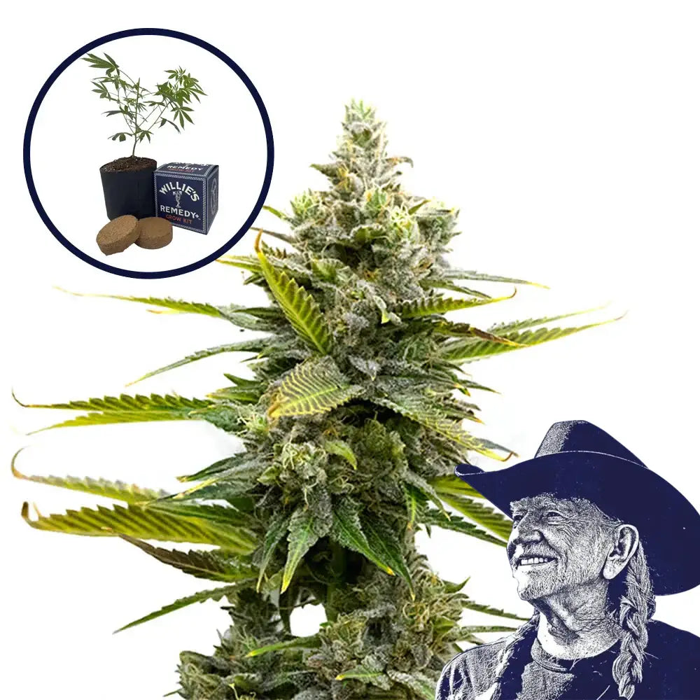 Critical Mass Grow Kit