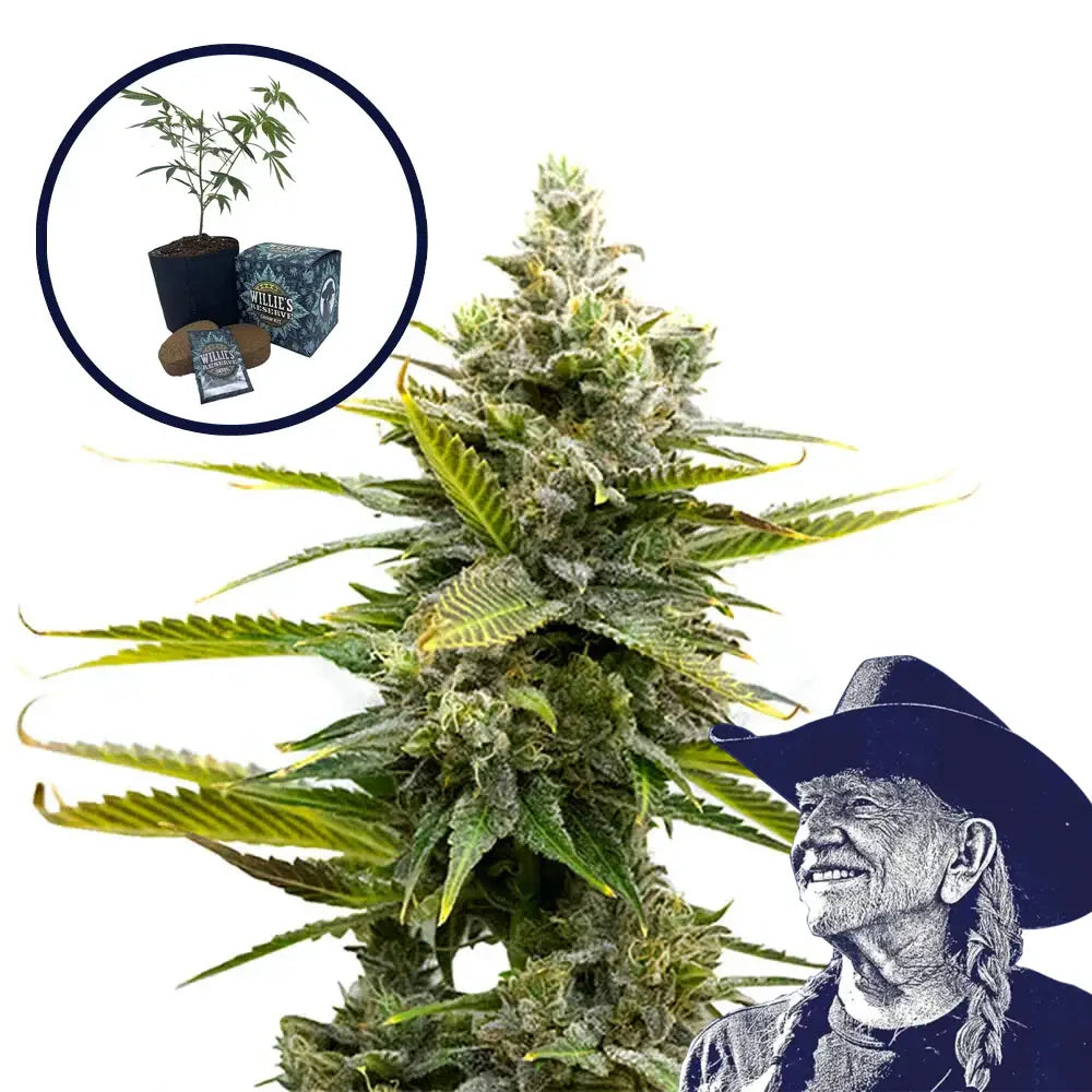 Critical Mass High Yield Grow Kit